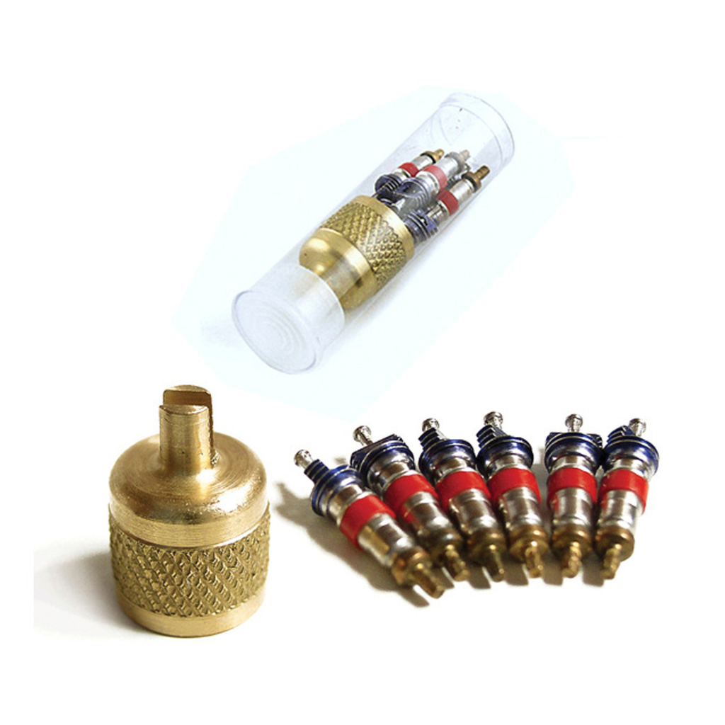 AVS1V VALVE CORES & SAE BRASS CAP IN PLASTIC VIAL