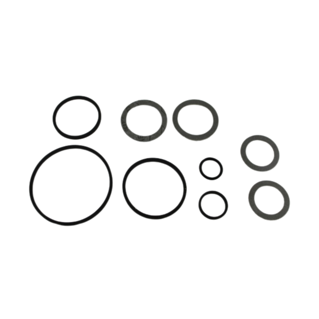 032F8196 SEAL KIT EVR 2-3 10-22 MULTI 10/120