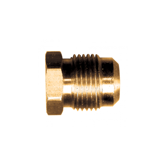 [58-6] BRASS SEALING PLUG 3/8M.SAE